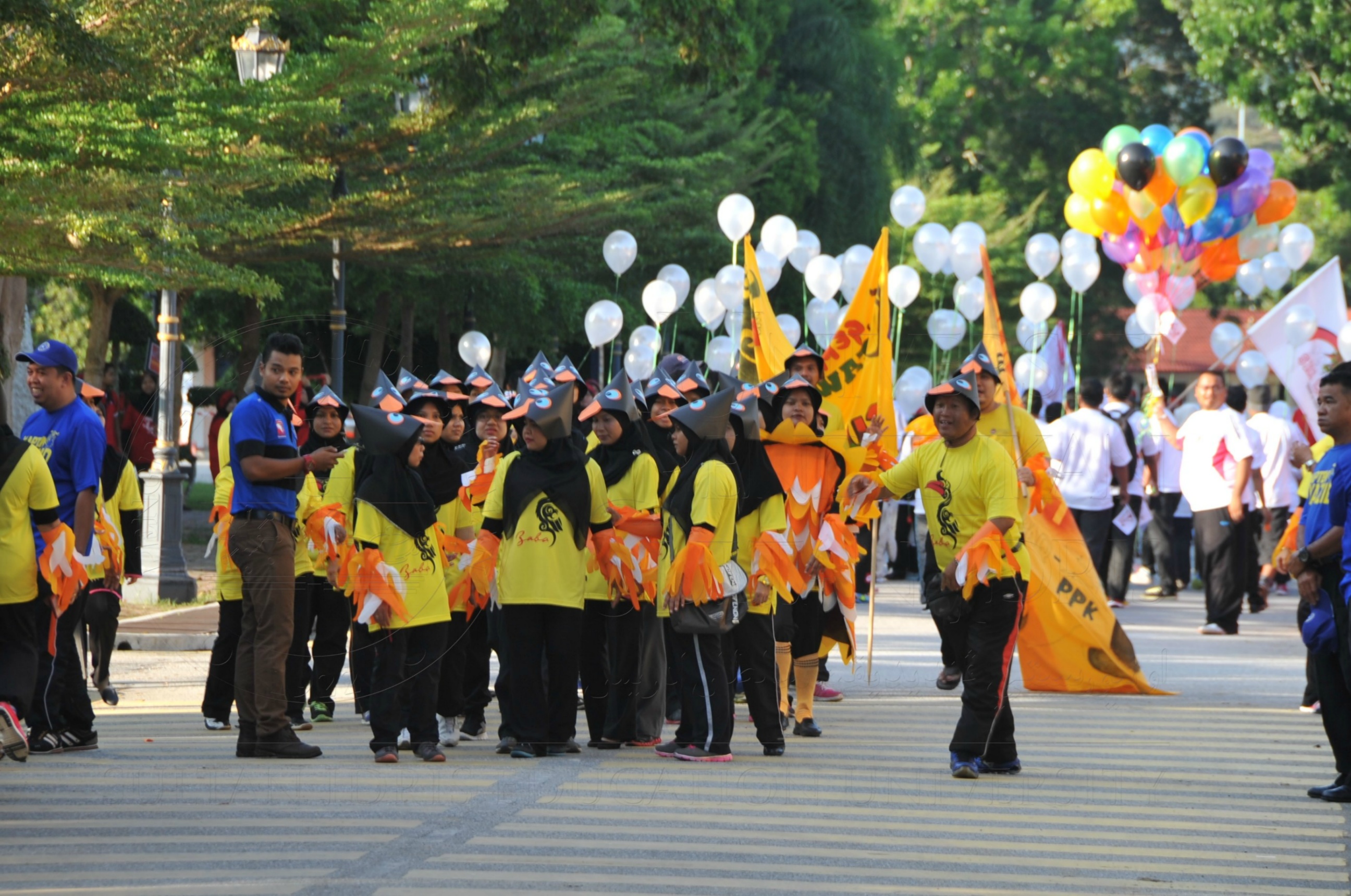 PRO 15 53 KIESTA HAS 3401